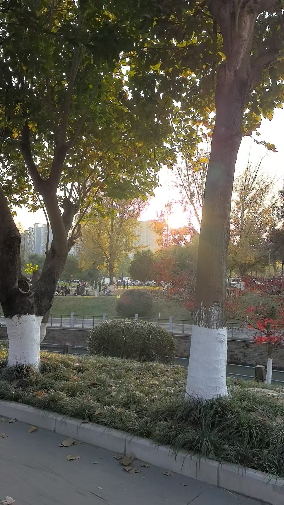 1765164954255855.jpg 1765164954255855.jpg