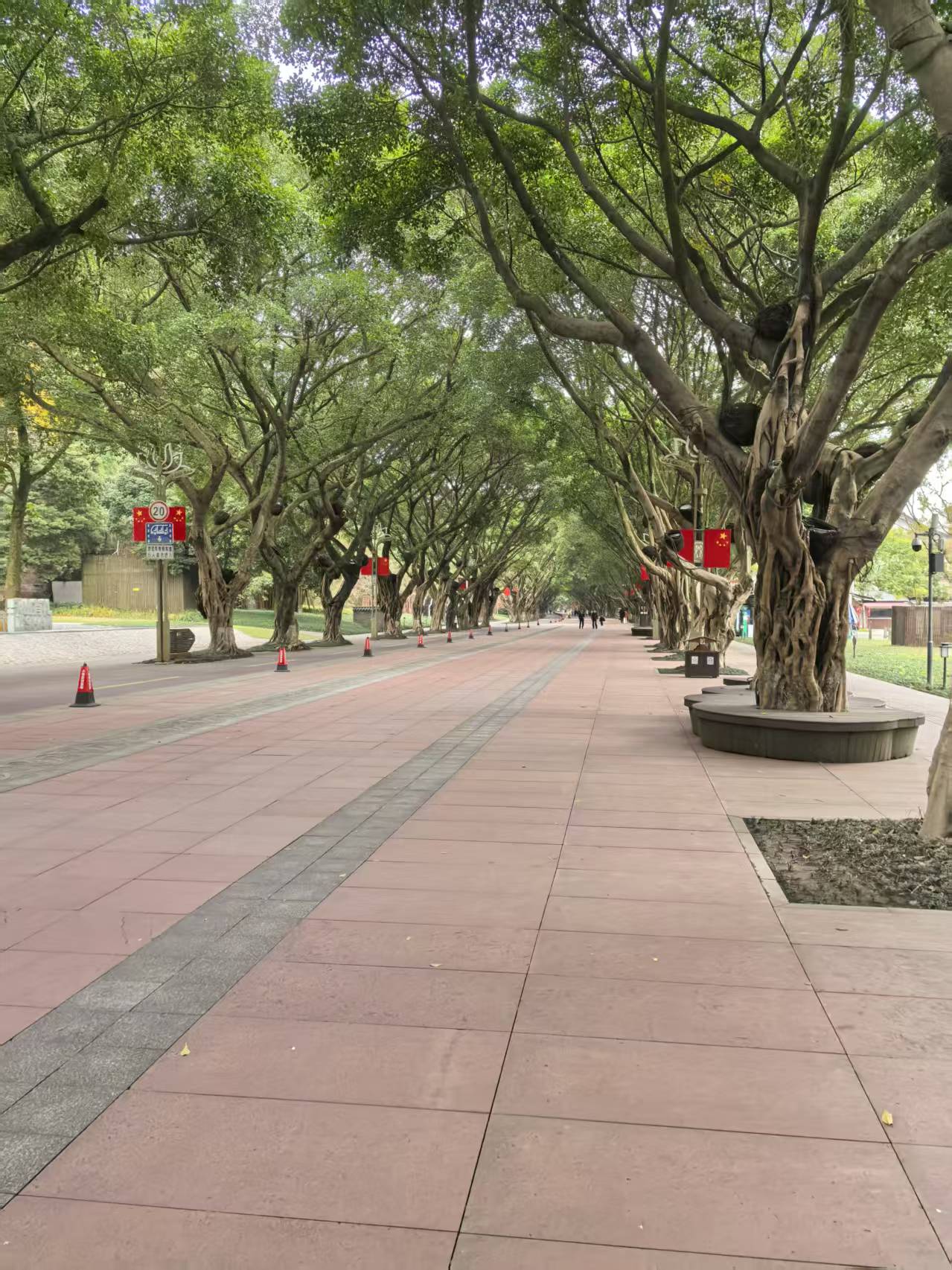 1765952912209844.jpg 1765952912209844.jpg