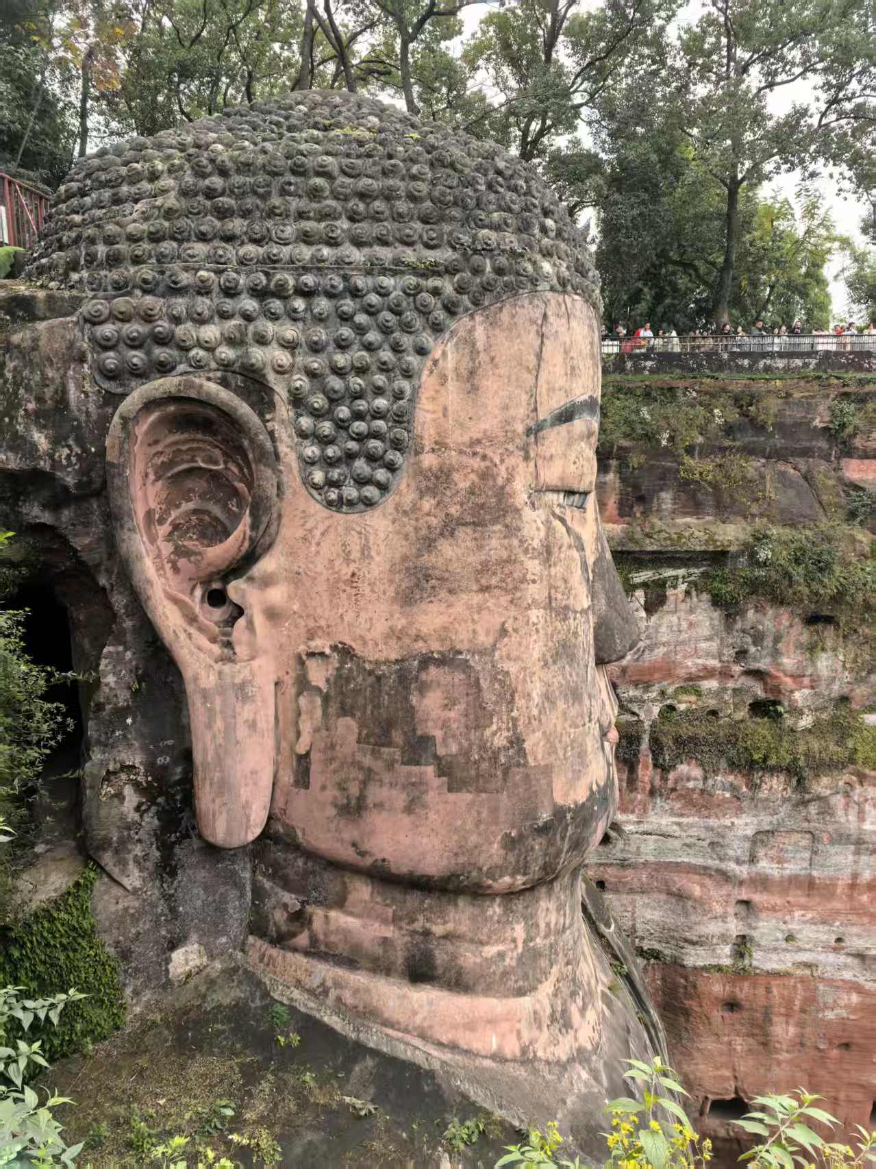 1765952933754636.jpg 1765952933754636.jpg