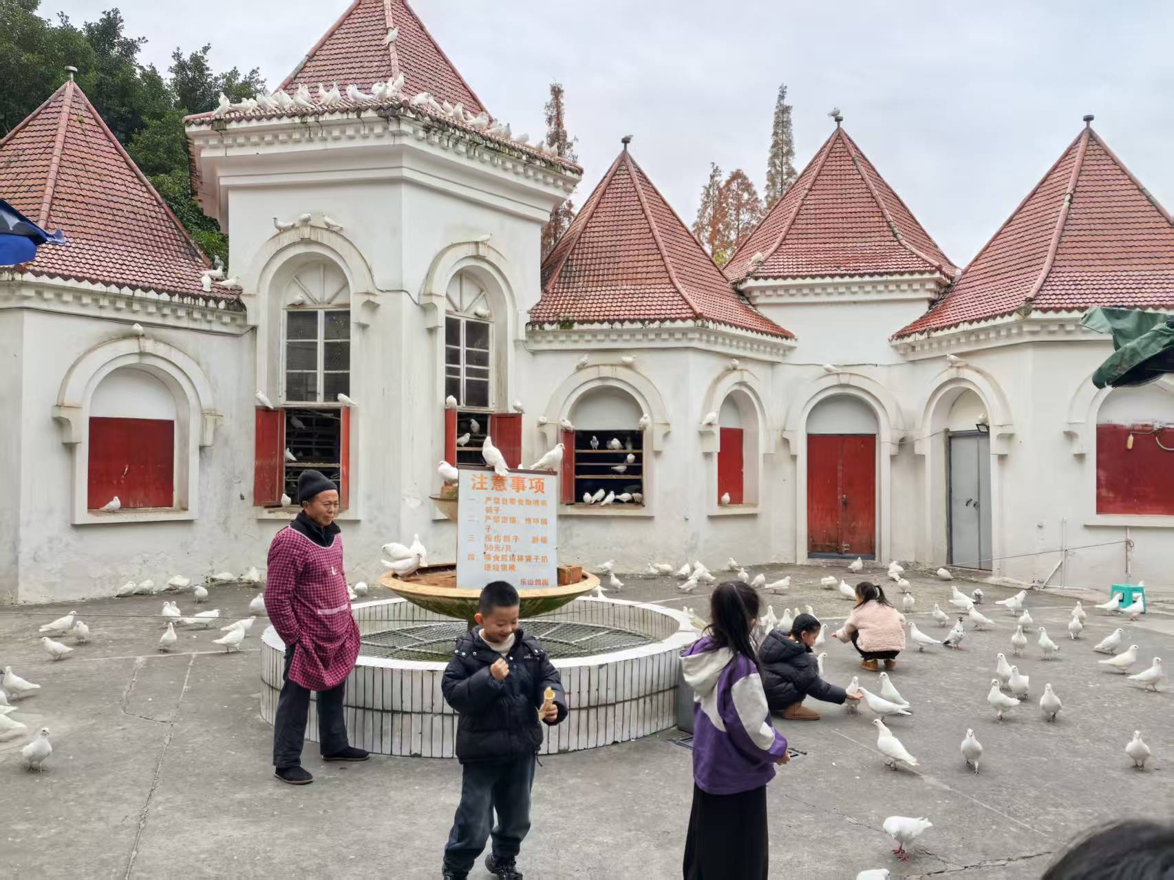 1765953912878724.jpg 1765953912878724.jpg